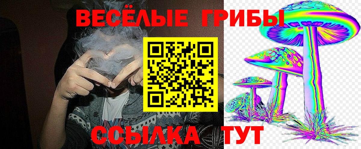 Псилоцибиновые грибы MAGIC MUSHROOMS  Вход с VPN  Псилоцибиновые грибы прущие грибы  Севастополь 